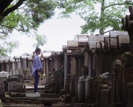 接近无限温柔的疯狂