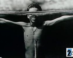 血之羁绊：莎莉曼的生活与工作