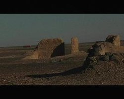 有关小鸟的片断