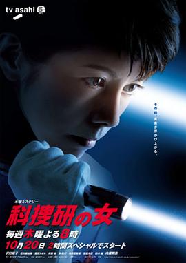 科搜研之女 第11季