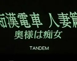 痴汉电车人妻篇：谜样痴女