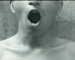 小人国的舞会