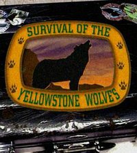 Survival of the Yellowstone Wolves