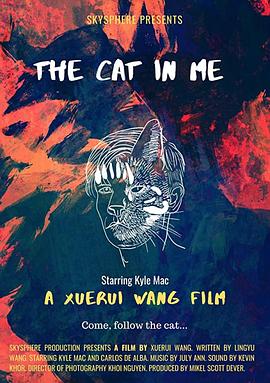 猫，看到了我