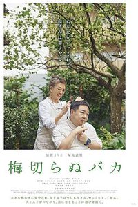 不砍梅树的傻瓜