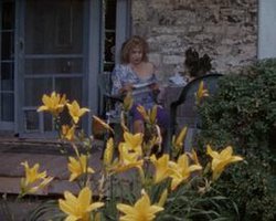 卡萝丽、芭芭拉和冈沃尔