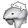 Avatar for 进击的关外北极熊 ~(=^‥^) ┏(●｀･(ｴ)･´●)┛