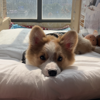 Avatar for 一起见证Titanic