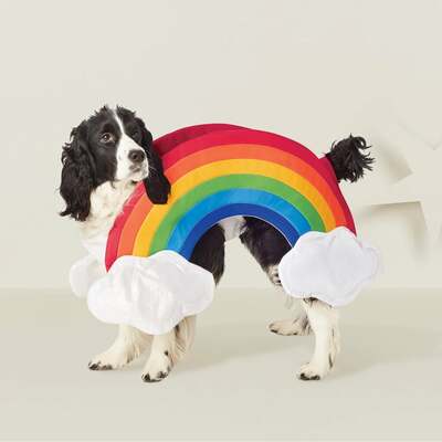 Avatar for puppyBot