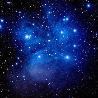 Avatar for Rachel 🌎✨🕊️