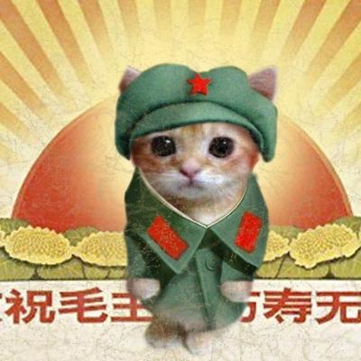 Avatar for ☭ 𝗖 𝗔 𝗧 ☭