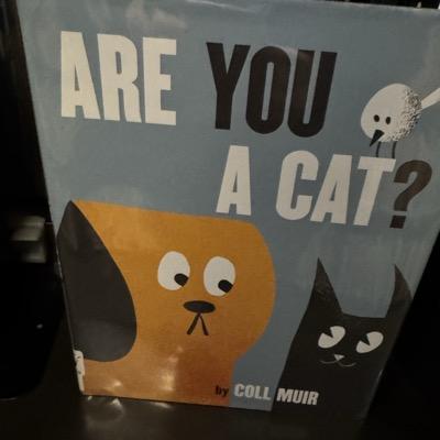 Avatar for Chan Chan