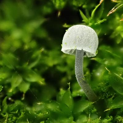 Avatar for 🌈☔🌦️🍄🌱🍉