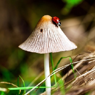 Avatar for 🌈☔🌦️🍄🌱