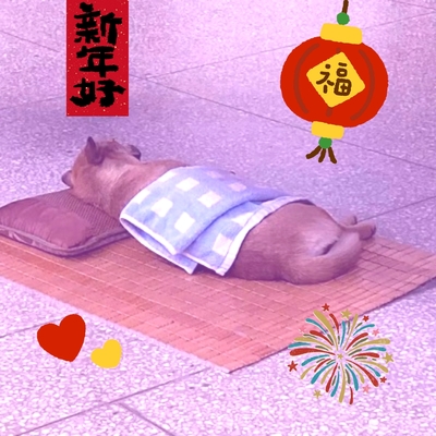 Avatar for 活着的花有一万种开法 :blobcatlesbian: