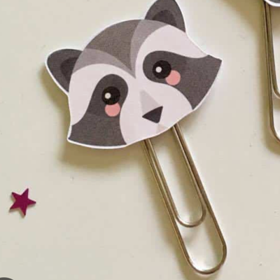 Avatar for Raccoon🏳️‍🌈