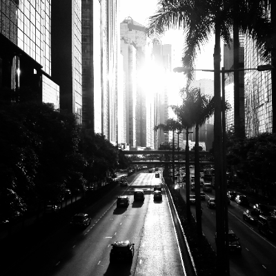 Avatar for W. Knight｜西郡騎士  🇺🇦🇭🇰