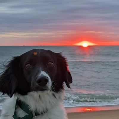 Avatar for Grândfather Däle