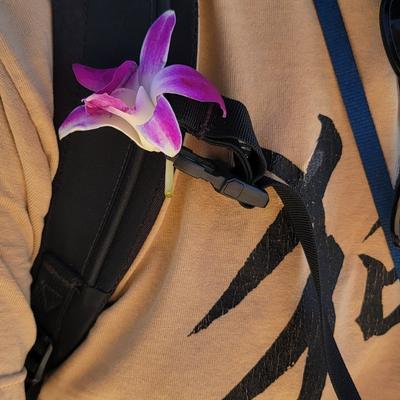 Avatar for Mike
