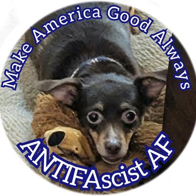 Avatar for FElon&Felon47🇺🇦🇨🇦🇩🇰🇹🇼