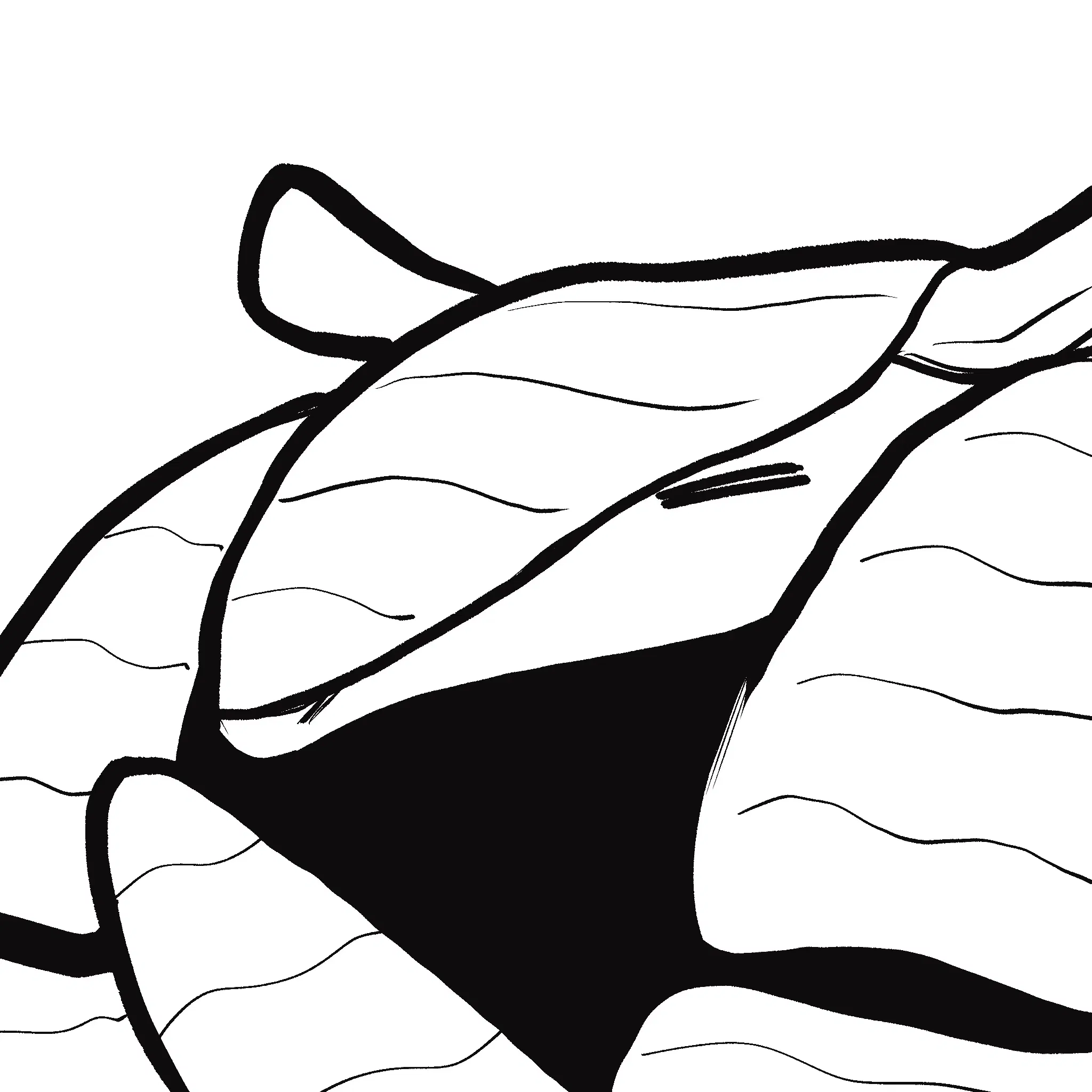 Avatar for サルサ