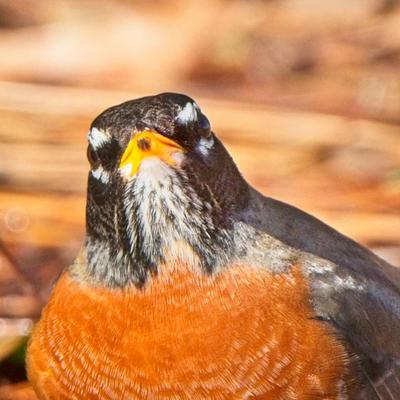 Avatar for Mx. Riley