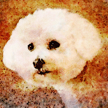 Avatar for CynBlogger™️Dissents