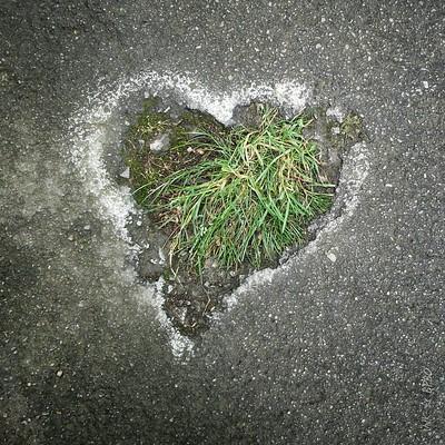 Avatar for ValK. 🐚 🦣