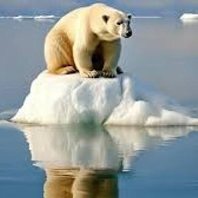 Avatar for officerripley