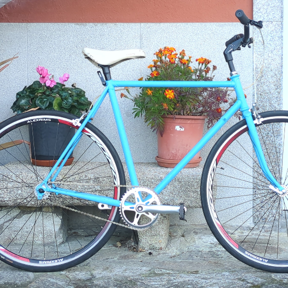 Avatar for ghose 🍉 👣