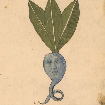 Avatar for soil gremlin