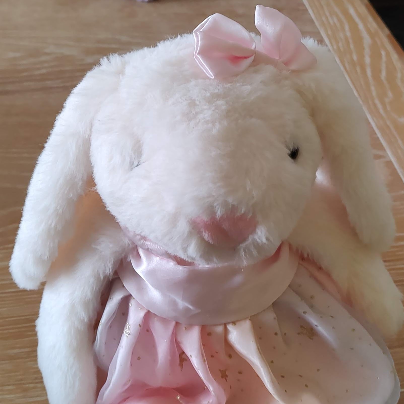 Avatar for bunny_fairy@lemmings.world