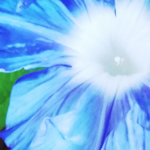 Avatar for ジョニーフジコフ