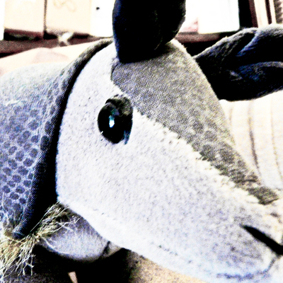 Avatar for armadillosoft