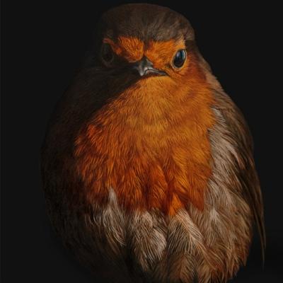 Avatar for 🌍🐬 🦋Earthling84 🐞🕊️🌞