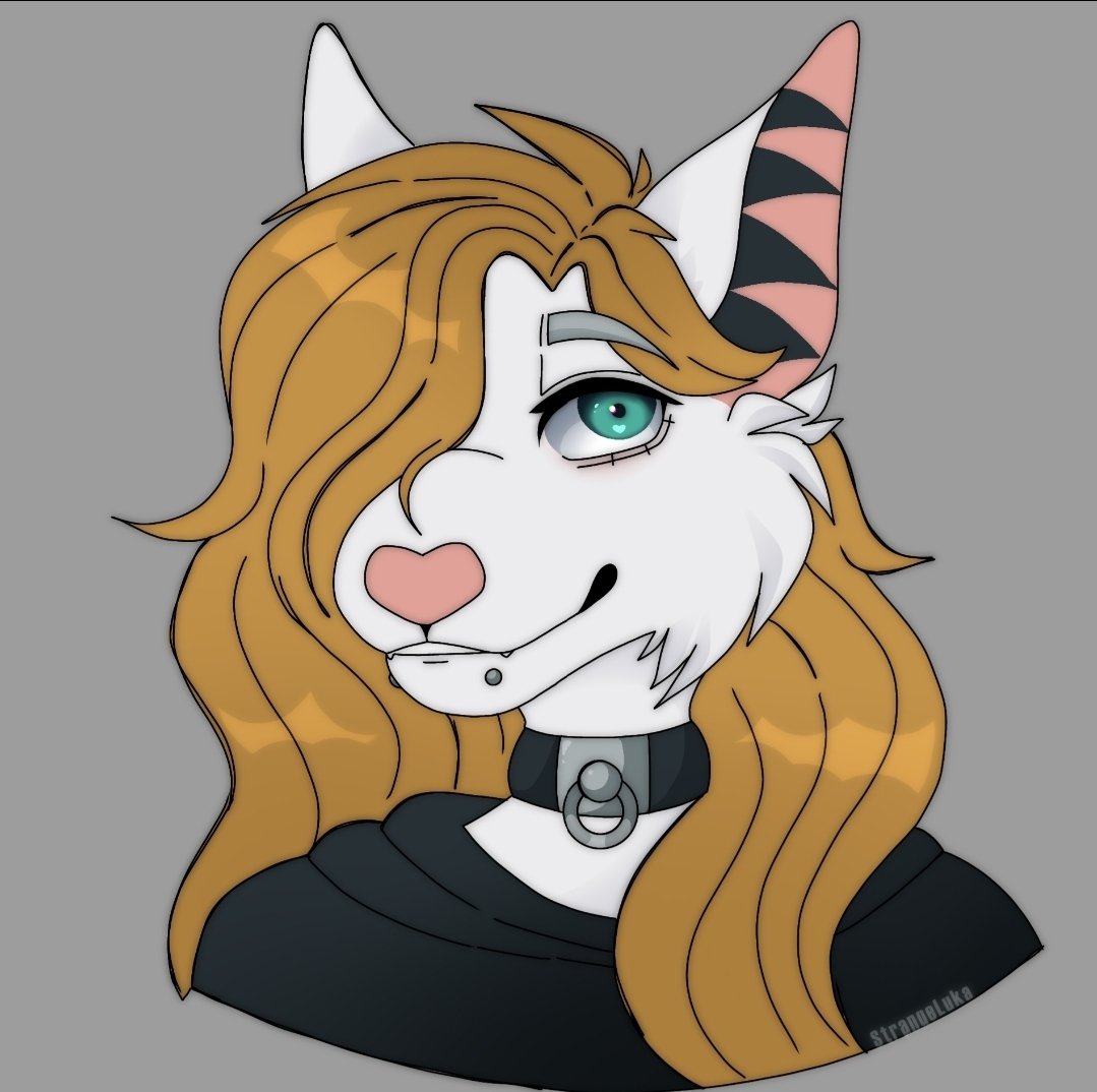 Avatar for Staden_ スタデン