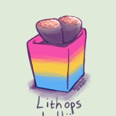 Avatar for Andrew 🏳️‍🌈 💻 🧦