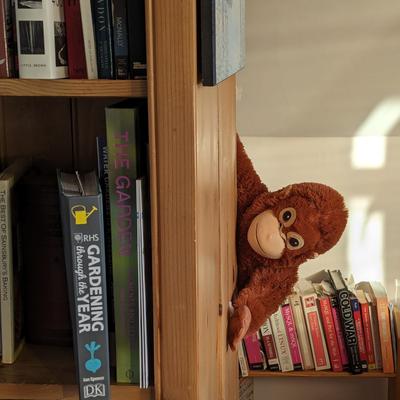 Avatar for MidgePhoto