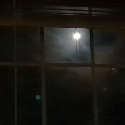 Avatar for Elizabeth is on Extended Leave