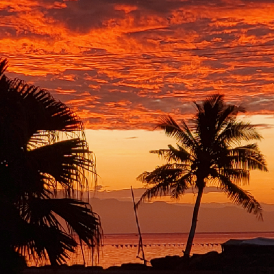 Avatar for Fanua 🌐