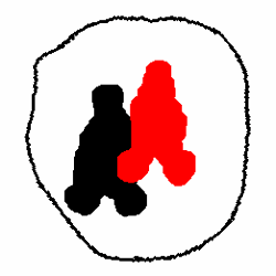 Avatar for RmDebArc_5