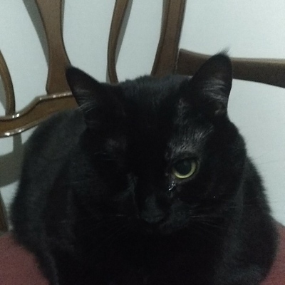 Avatar for baronloko