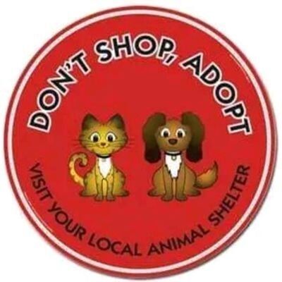 Avatar for Michael Barthel / MiBaWi