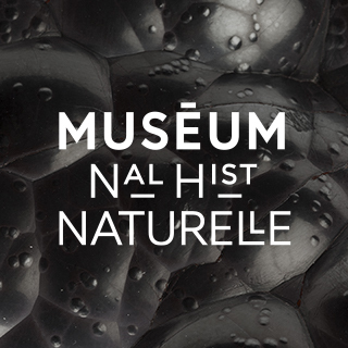 Avatar for Le Muséum