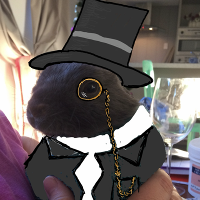 Avatar for kāihe (donkey) 🫏