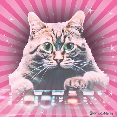 Avatar for ZamRock Radio