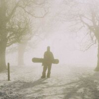 Avatar for wild.muc@pixelfed.social