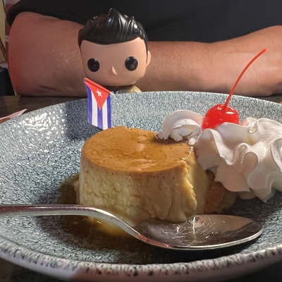 Avatar for Dr. Tiki, doctor of pandology