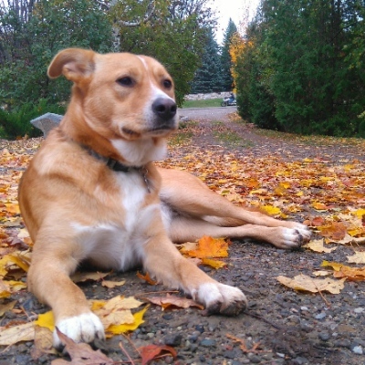 Avatar for Innocuous In Innisfil 🇨🇦