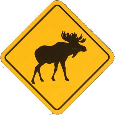 Avatar for Root Moose